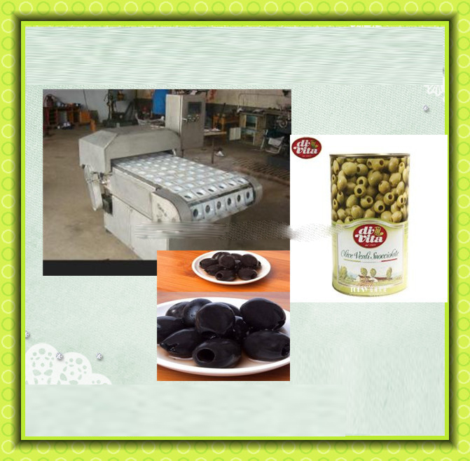 Canned olive processing machines for canning olive processing