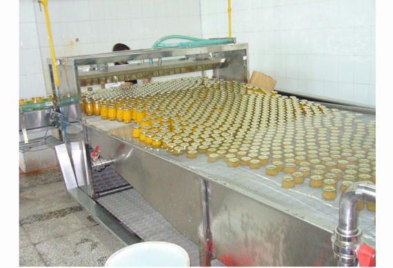 High efficiency canned mandarin orange processing plant / orange processing machine