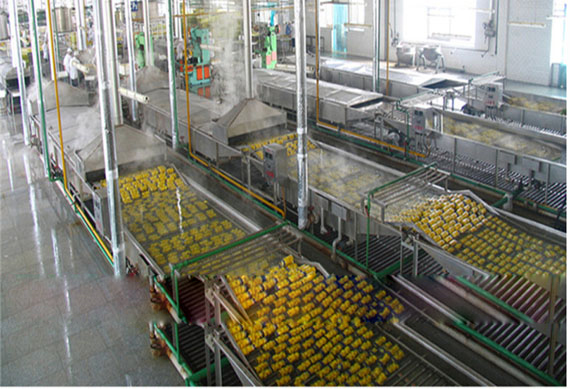 High efficiency canned mandarin orange processing plant / orange processing machine