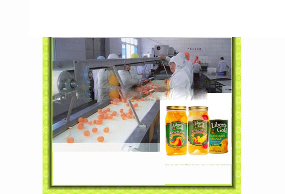 High efficiency canned mandarin orange processing plant / orange processing machine