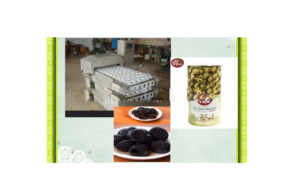 full plant olive pitting machine