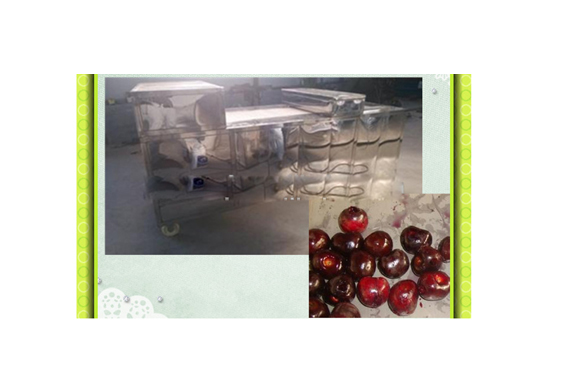 full plant olive pitting machine