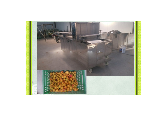 full plant olive pitting machine