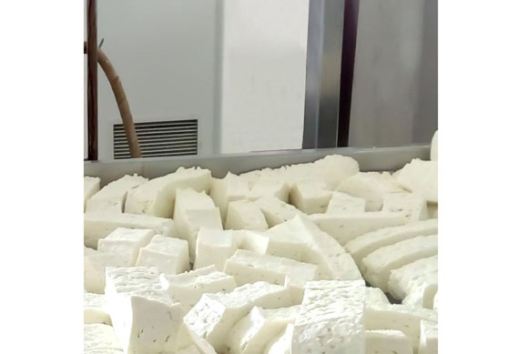 stainless steel mozzarella cheese production machines