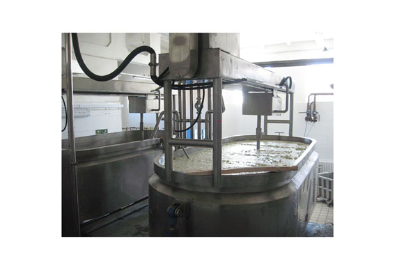 Industrial automatic mozzarella cheese making machines