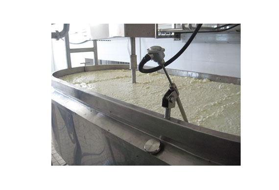 Soft hard Feta Mozzarella Cheddar cheese production line