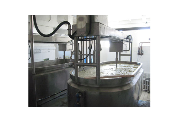 Camembert cheese making machines production line