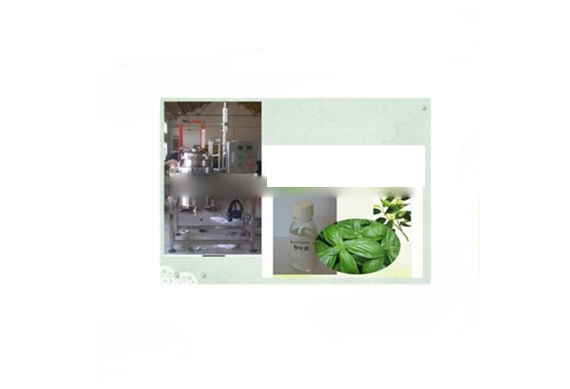 Natural Eucalyptus Oil with 99% natural Eucalyptol (cineole) extraction machine