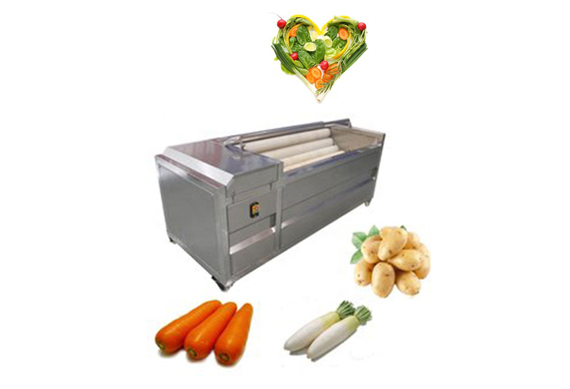 vegetable fruit Potato / apple washing processing line including elevator sorting machine washing machine and dryer machine