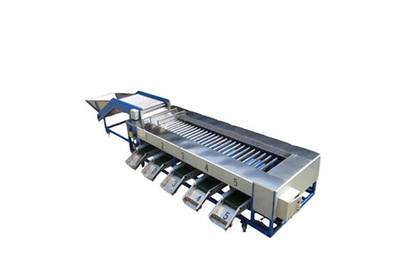 size sorting tomato sorting machine