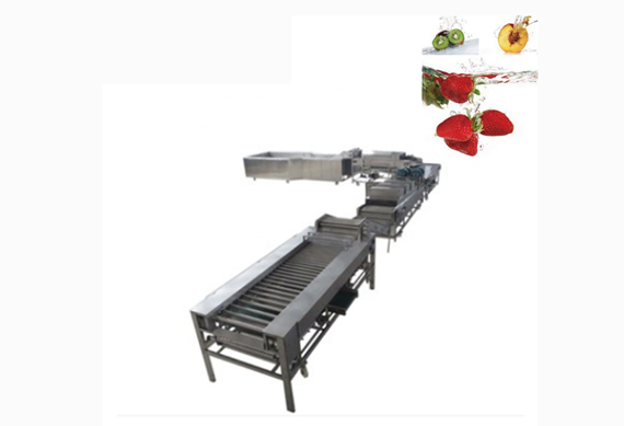 fruit & vegetable washing/drying/waxing/sorting line/machine/fruits processing plant