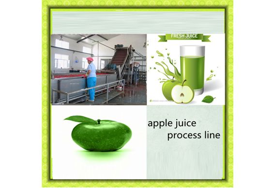 2014 Full auto mango/banana/apple/cherry jam processing line
