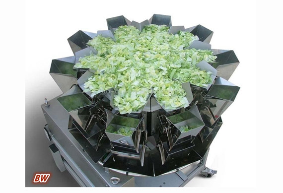 factory price automatic mushroom/vegetables canning machine