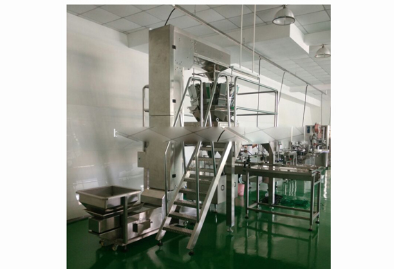 factory price automatic dried walnuts/nuts /fruits aluminum can filling machine