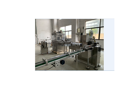 Shanghai automatic 10g 12g 8g 4g 5g Customized stock seasoning maggi spice cube pressing wrapping boxing bagging machine