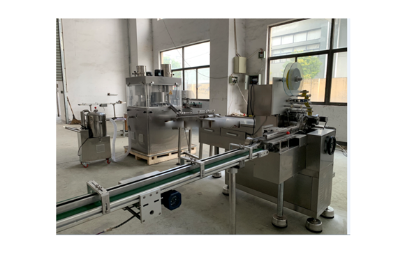 China Manufacturer seasoning cube making wrapping boxing bagging packing machine