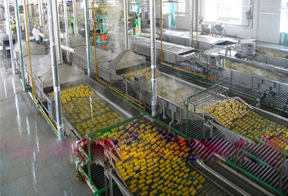 Canned Fruit Cocktail Processing Production Line