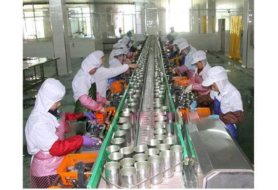 Canned Fruit Cocktail Processing Production Line