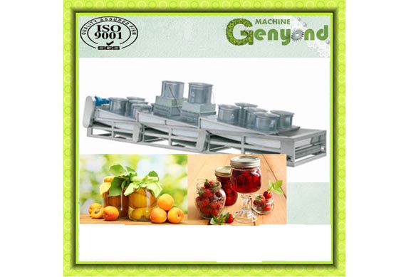 Automatic Peach in Syrup Production Line / Canned Peach Processing Machine