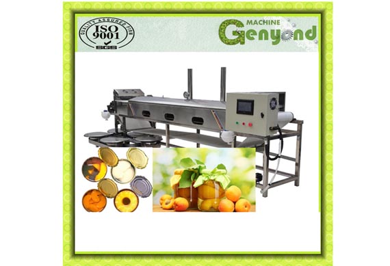 Stability vegetable fruit canned food canning production line