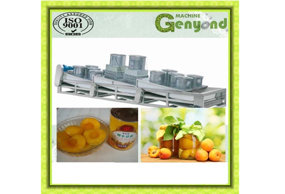 Top quality canned food / fruit production line / peach canning machine manufacturer