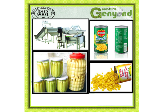 standard Canned baby corn process line /produce machines/plants