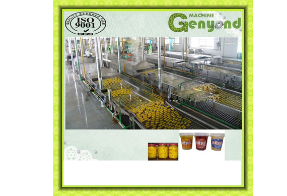 Canned lychee longan cherry processing equipment