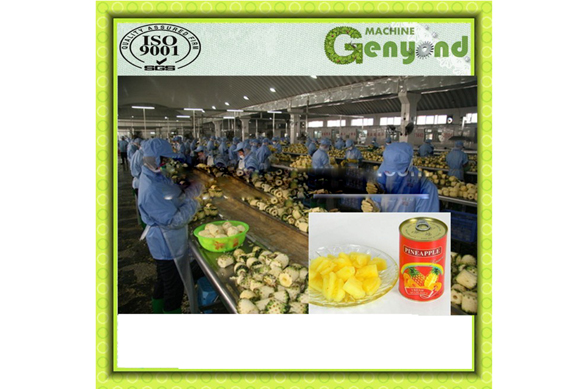 Commercial canned pineapple process line / pineapple slices canning machine