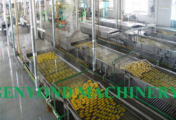 High efficiency canned pineapple processing plant / pineapple in syrup processing line