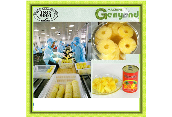 High efficiency canned pineapple processing plant / pineapple in syrup processing line