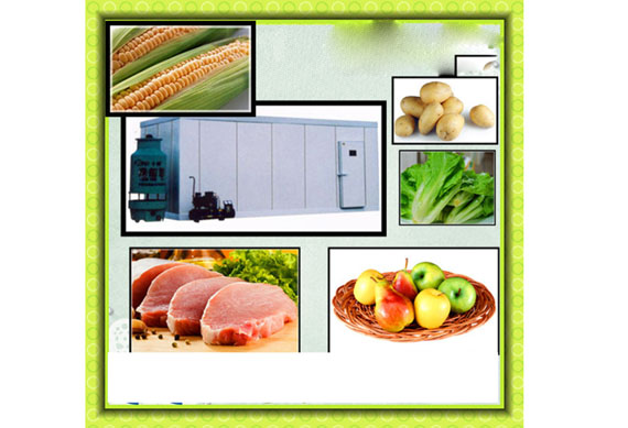 PU sandwich panel for walk in freezer to store frozen fish