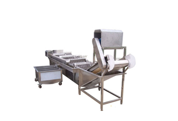 green peas frozen processing machines/strawberry quick freezing production line/industrial vegetable and fruit machine