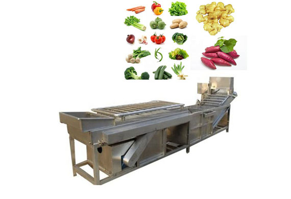 Pumpkin production line machine/green beans frozen processing line/vegetable freezing equipment