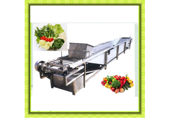 Pumpkin production line machine/green beans frozen processing line/vegetable freezing equipment