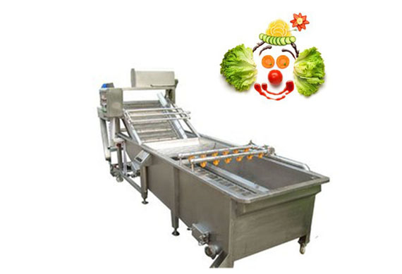 Pumpkin production line machine/green beans frozen processing line/vegetable freezing equipment