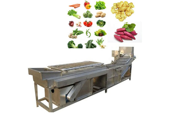 stsweet corn processing line/green peas frozen production machine/fruit & vegetable processing machines