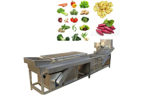 Green peas quick freezing processing machine/frozen vegetable production line machine