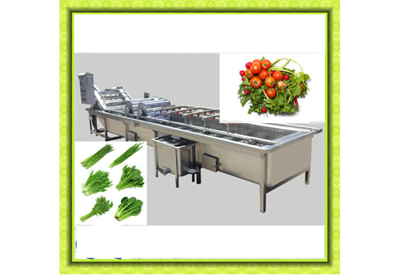 Frozen vegetable production line/green peas quick freezing processing equipment/vegetable processing machine