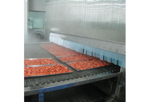 China Frozen Vegetable Production Line/Green Peas Quick Freezing Processing machine