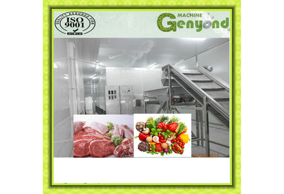 China Frozen Vegetable Production Line/Green Peas Quick Freezing Processing machine