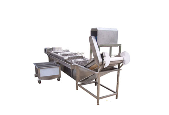 Okra quick freezing processing line/green peas frozen production machine/fruit & vegetable processing machines