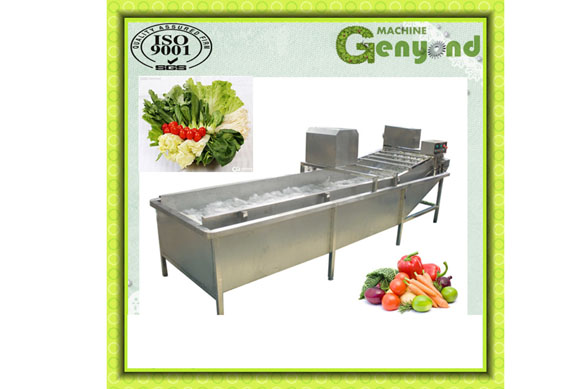 Okra quick freezing processing line/green peas frozen production machine/fruit & vegetable processing machines