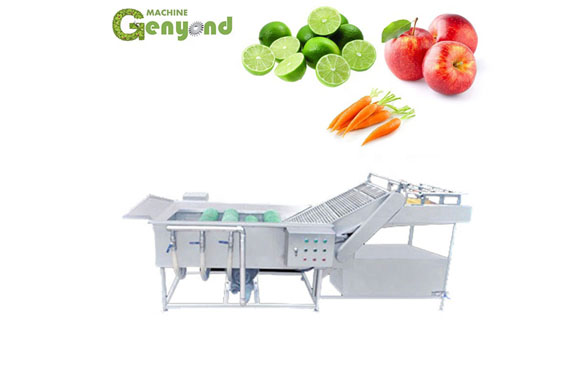 Okra quick freezing processing line/green peas frozen production machine/fruit & vegetable processing machines