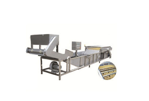 Quick Freezing Vegetable Tpye Tunnel Freezer Machines Frozen Vegetable And Fruit Production Line