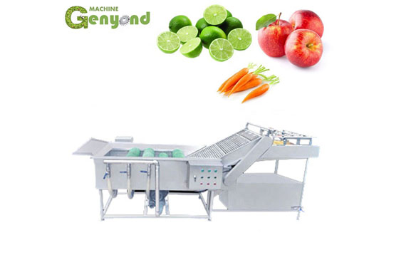 Quick Freezing Vegetable Tpye Tunnel Freezer Machines Frozen Vegetable And Fruit Production Line