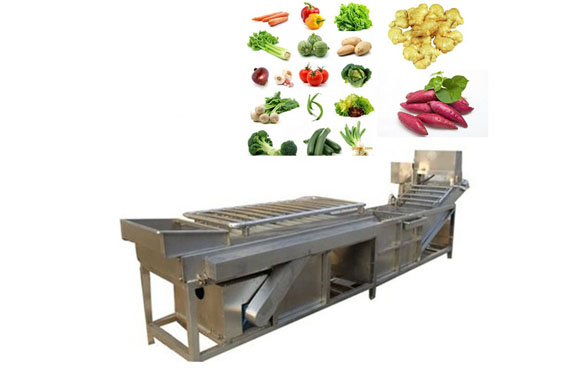 Frozen vegetable production line/small iqf freezer