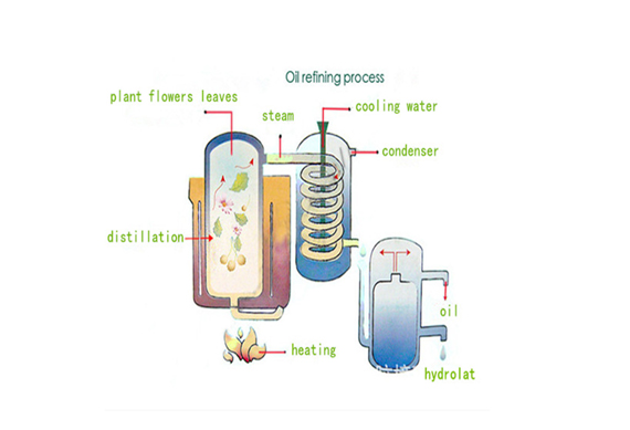 Jasmine Essential Oil Distillers For Sale