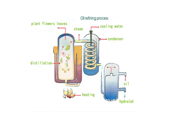 Lavender Essential Oil Distillers For Sale