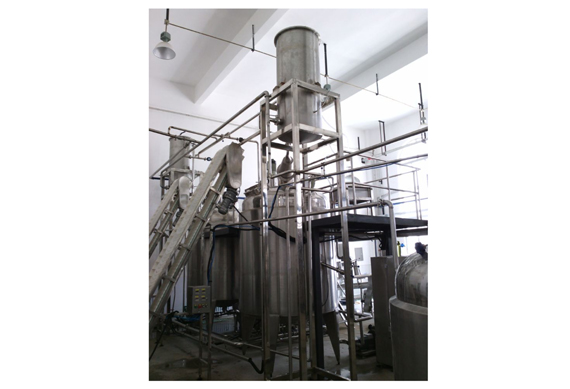 Basil Essential Oil Distillers For Sale