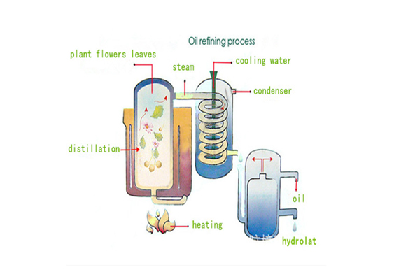 Ginseng Essential Oil Distillers For Sale